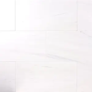 Bianco Dolomite Marble 12x24 Polished/Honed Field Tile Sample