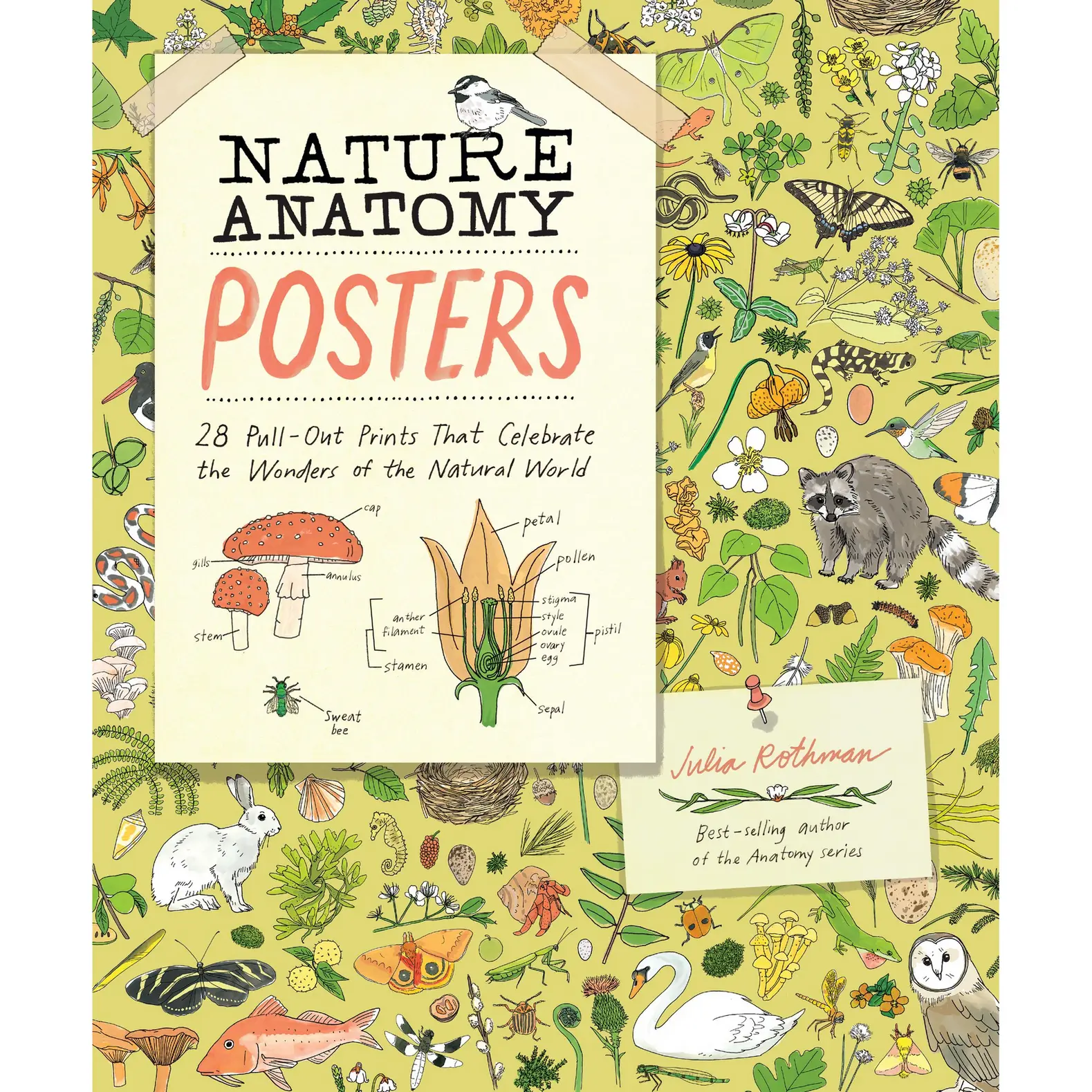 Nature Anatomy Posters Nature Anatomy Posters
