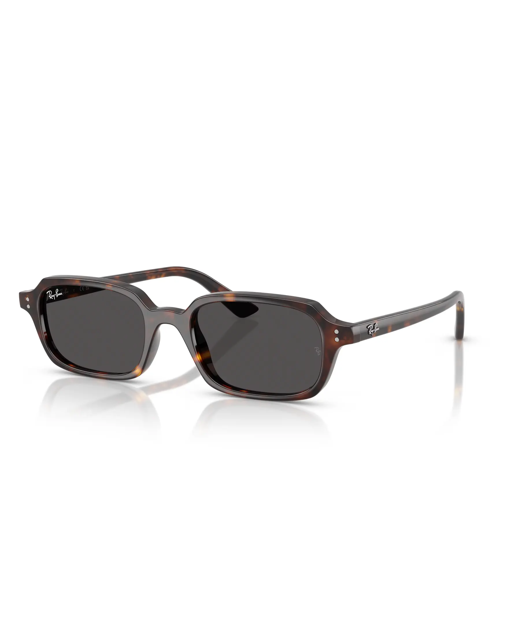 RAY-BAN ZURI BIO-BASED - Sunglasses - 0RB4455