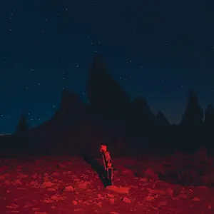Phoebe Bridgers - Punisher  [VINYL RECORD - LP]