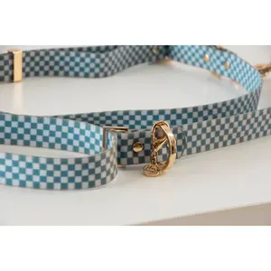 "The Roscoe" Leash