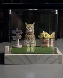 [Customization] 3D Holographic Pet Box