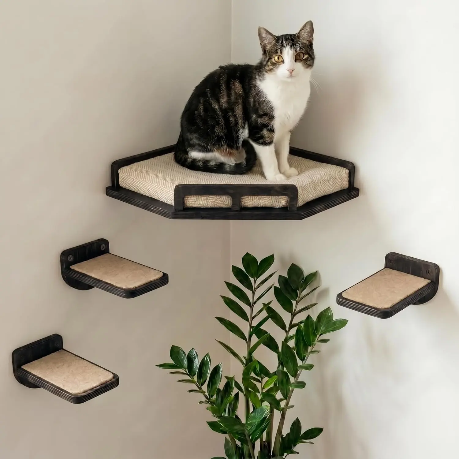 Wall Shelves - Safe and Sturdy  Wall Furniture - Stylish   Corner Shelf with 3 Steps for Cats up to 15lbs - Cushioned Perch and Stairs for Climbing and Playing - Black
