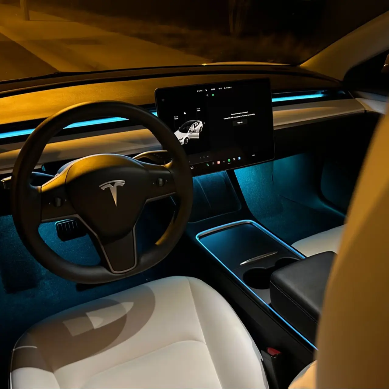 Lighting Bug Tech Deluxe Ambient Lighting Kit for Tesla Model3 & Y - Customizable Lighting Options for Enhanced Driving Experience