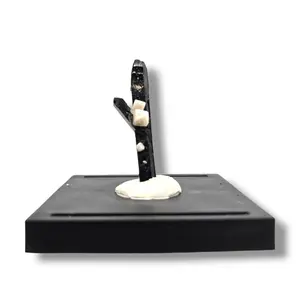 Rare Aegirine with Fluorescent Feldspar from Lulwe, Malawi