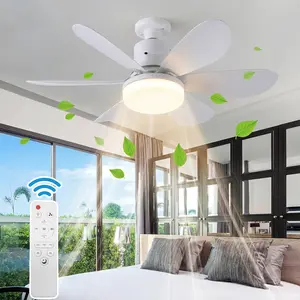 Portable E27 Fan Light with Remote – 12W Quiet Fan + 18W 3-Color LED, Screw-in Ceiling Light for Bedroom, Kitchen #CeilingFan