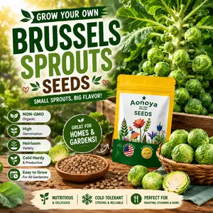 Heirloom Brussels sprouts seeds-4000PCS High Germination | Easy to Grow on Balcony | Crisp & Sweet | Light Meal Veggie Seeds