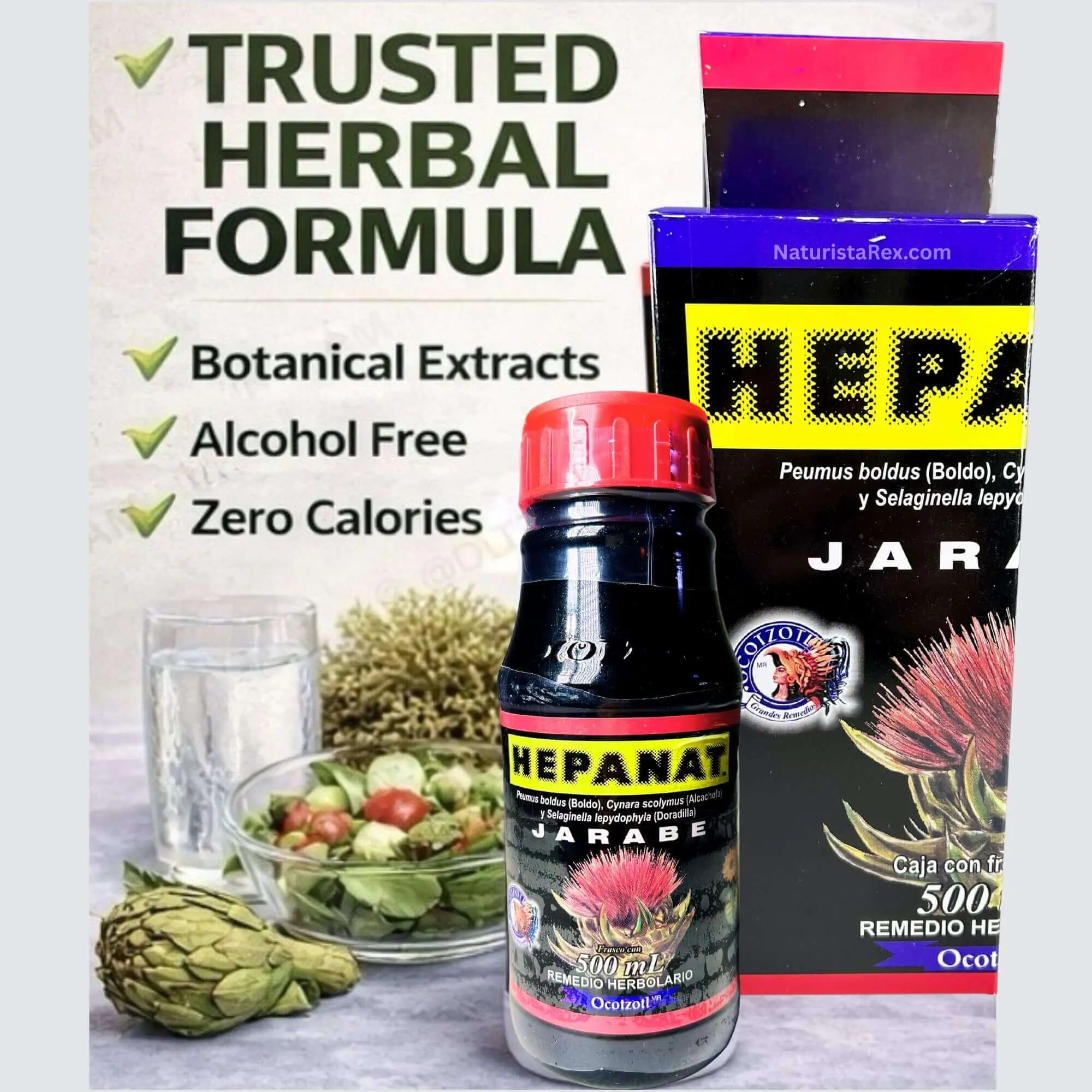 Ocotzotl HEPANAT (Boldo, Alcachofa, Doradilla) 100% Natural Herbal Tonic Drink Juice 500ml