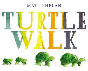 USED-Turtle Walk by Phelan, Matt (Hardcover)