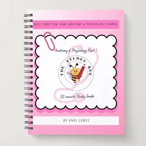 The Studee Bee Anatomy and Physiology 20 min Study Guide Part I