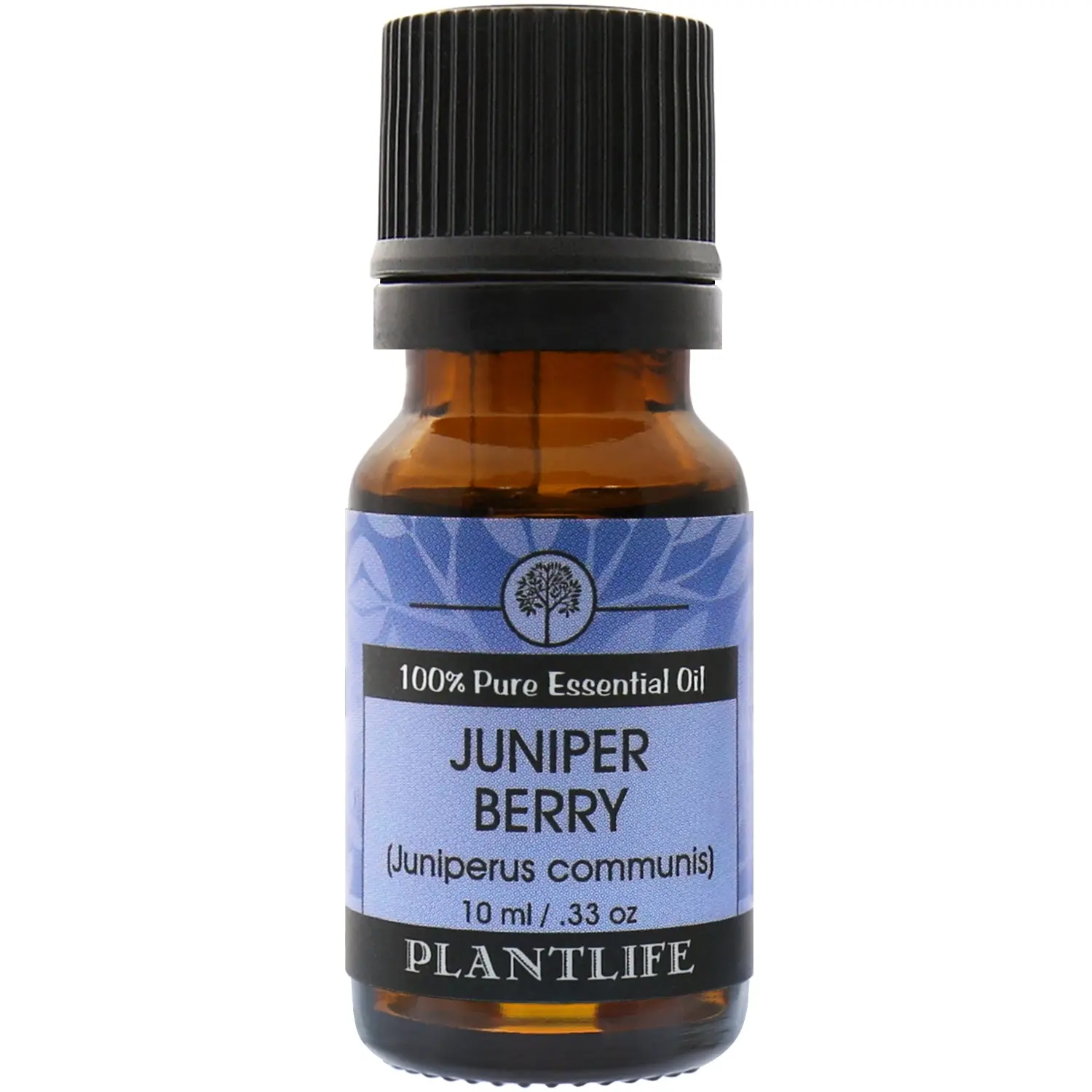 Plantlife Juniper Berry Essential Oil 10 ml – Fresh Woodsy Uplifting Aromatherapy Oil