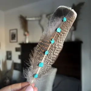 Hat Feather