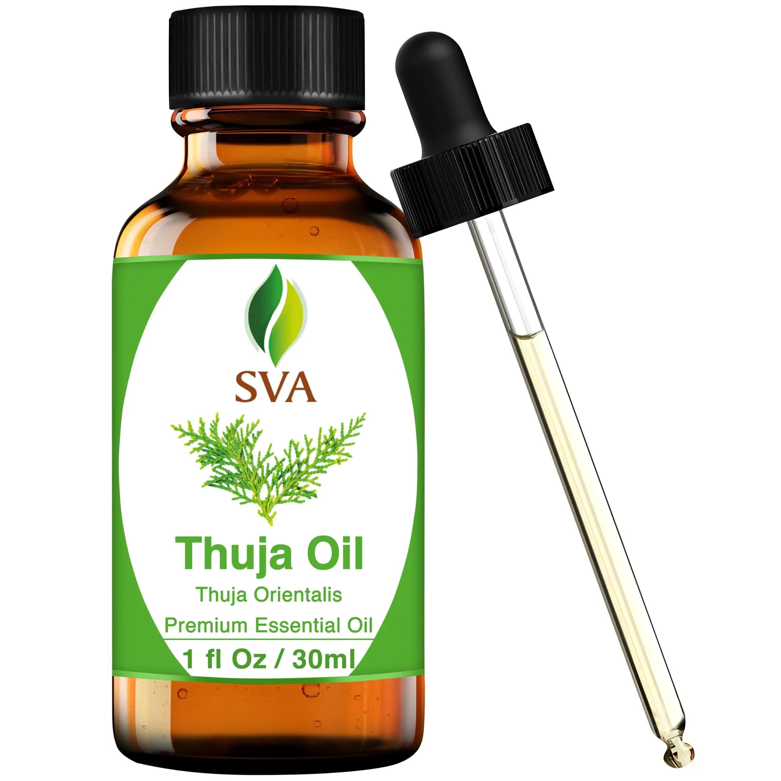 SVA 100% Natural Thuja Essential Oil - 1 Fl Oz (30ml) Therapeutic Health Oil with Dropper, Body Scented for Aromatherapy Diffuser, Body Care, Body Scented Oil