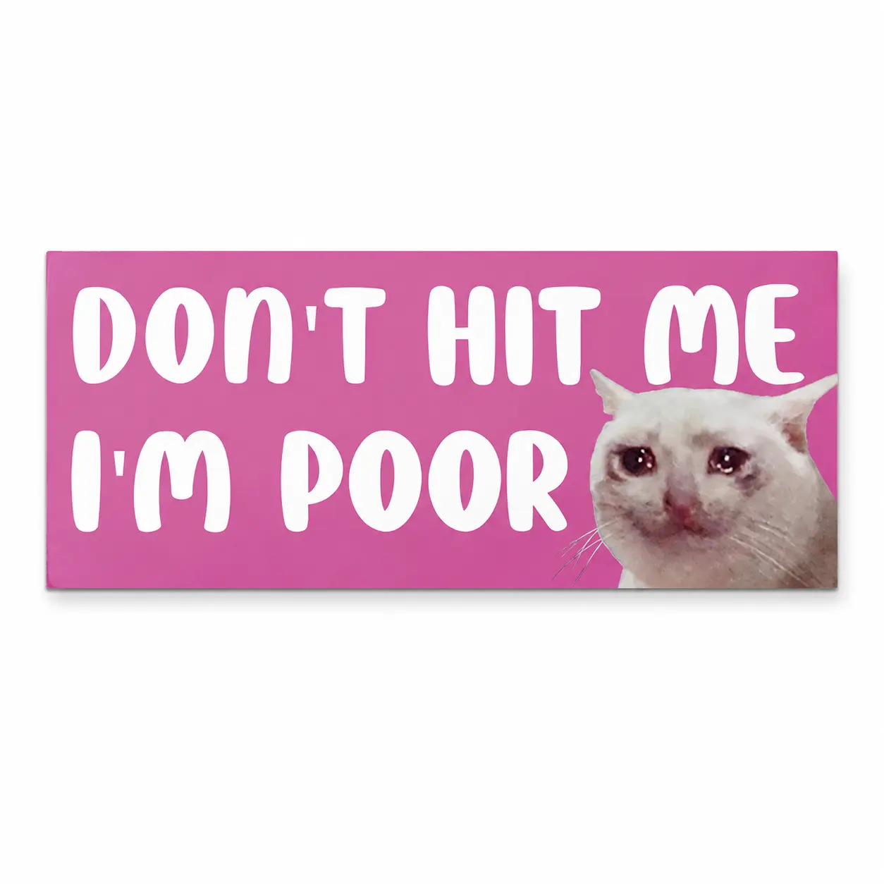 "Dont hit me,I'm poor"Cat Y2K Pink Aesthetic Funny Gen Z Meme Bumper Magnet Sticker Waterproof Car Vehicle Vinyl Decal for New Drivers and Adults