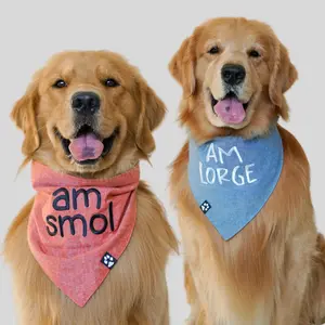 Am Reversible Bandana