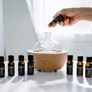 Aromatherapy Essential Oil Kit with Hair Diffuser – Therapeutic Solution for Healthcare and Wellness Use