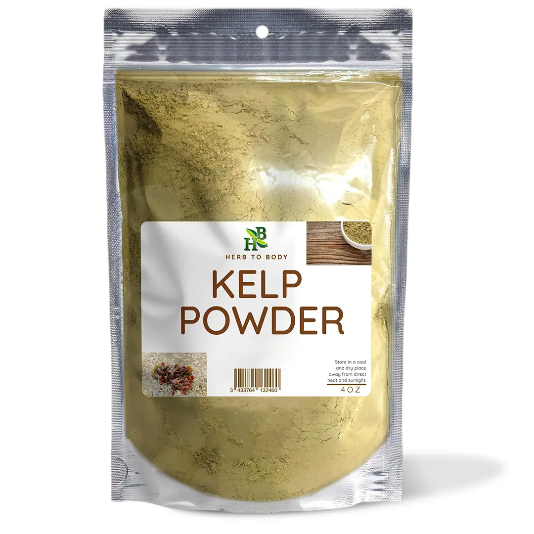 Kelp Powder - 4oz (113 g) | Ascophyllum nodosum | Certified Organic | Herb To Body