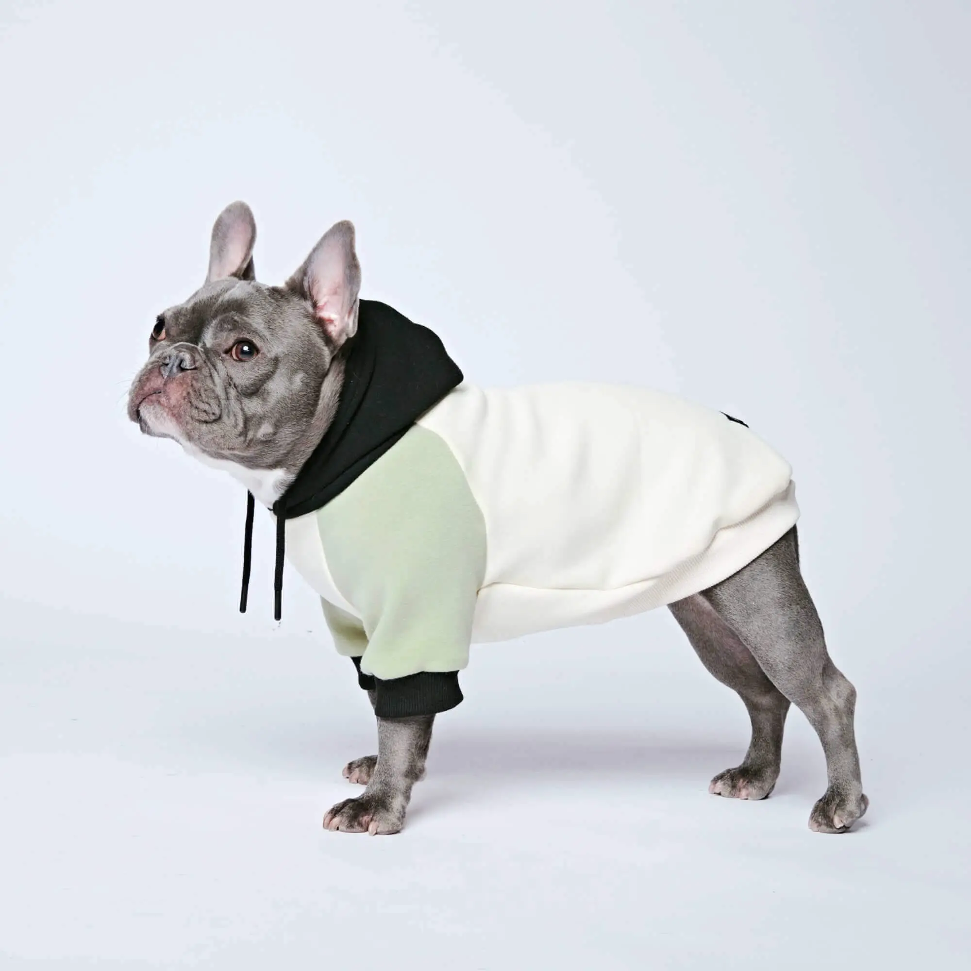 Spark Paws Color Block Dog Hoodies - Premium Quality, Buttery Soft, Superior Comfort and Fit, Calming Fleece Interior, Suitable for All Breeds