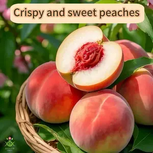 Fresh peach seedlings have tender pulp, full and sweet juice, rich in vitamins, minerals and dietary fiber. Strong adaptability, suitable for garden orchard planting