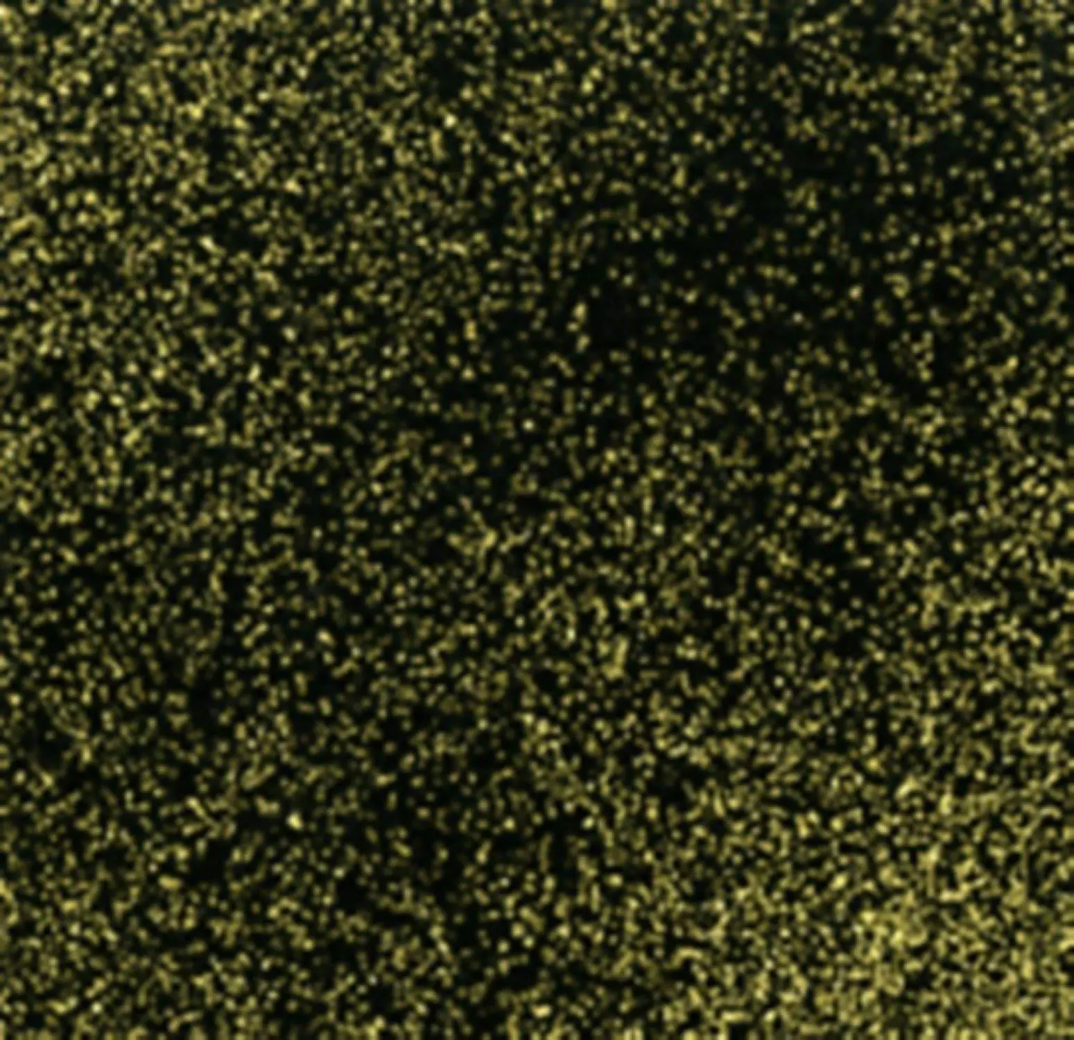 Timeless Treasures Shimmer Black Gold Quilting Cotton Fabric by the Yard