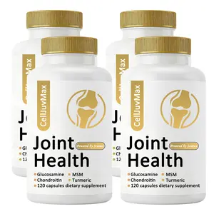 Natural Joint Support Supplement for Women & Men - with Glucosamine, Chondroitin, MSM & Turmeric, 120 Capsules