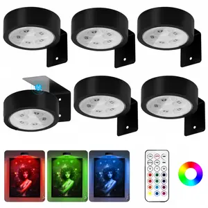 Battery Powered Drawing Light, Magnetic Wireless Picture Lamp, 20 RGB Colors, Adjustable Timer Mode, Art Display and Decoration, Modern Mood Lighting