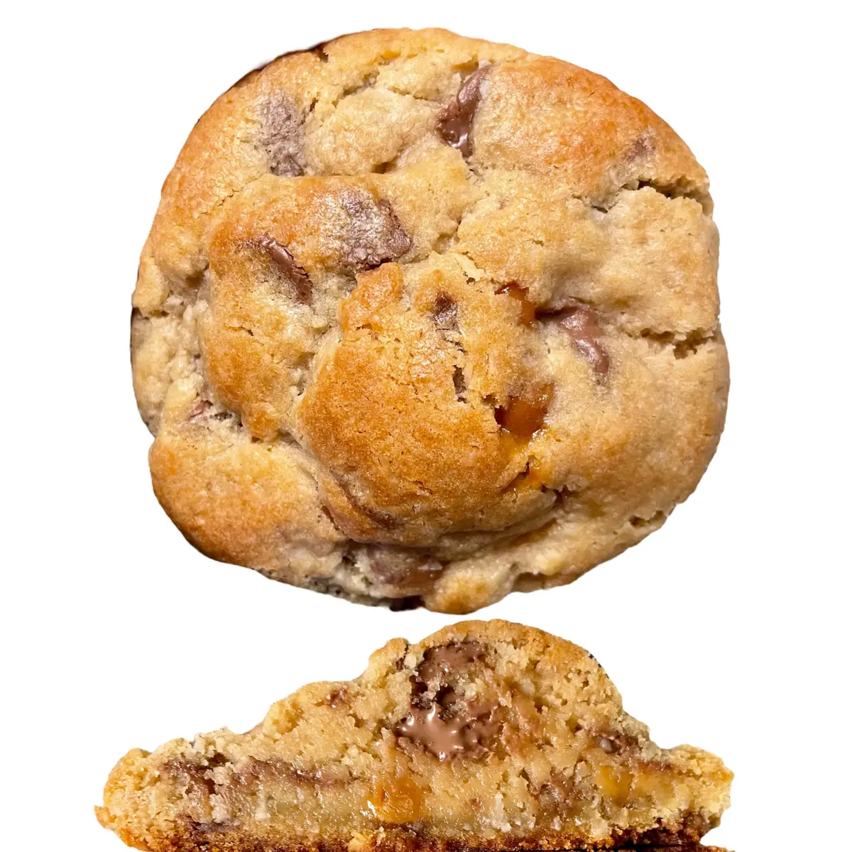 Caramel Coconut Chocolate Chip Gourmet Cookie