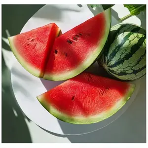 50  Lazy Man Watermelon Seeds – Easy to Grow, Sweet & Juicy- Heirloom Non-GMO USA Grown Premium Fruit Seeds for Planting a Home Garden - Small Watermelon Citrullus Lanatus by RDR Seeds