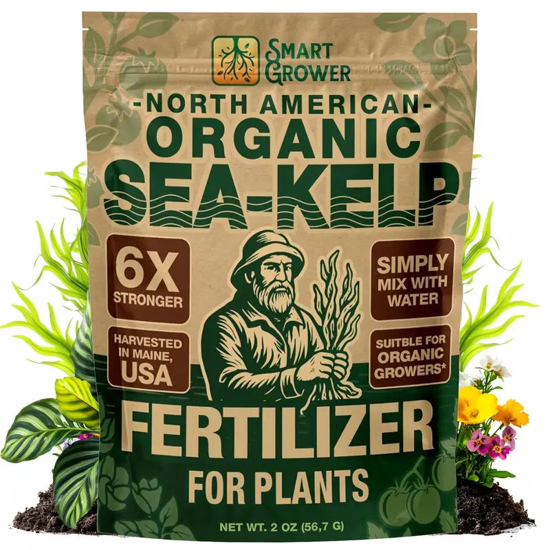 Organic Sea Kelp Fertilizer - 2oz Water-Soluble Powder Concentrate - Makes 50 Gal - Potassium-Rich Plant Food for Indoor Gardens, Container Gardens, Vegetables