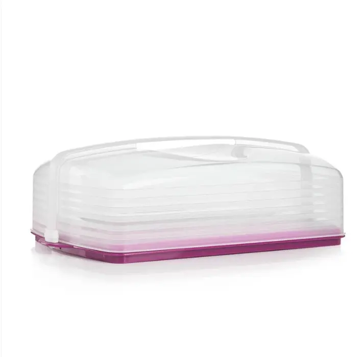 Tupperware Cake Taker Rectangular: Reversible Tray for Cakes & Cupcakes Baking Tools Bakeware