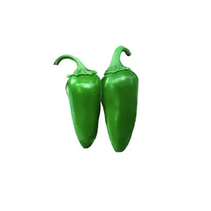 Jalapeño TAM Seeds - Mild Heat and Disease Resistant - ON SALE Jalapeño TAM Seeds - Mild Heat and Disease Resistant - ON SALE