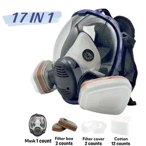 Reusable Anti-Fog Toxic Dust Mask with Filter, Respirator Mask, Protective Mask, Full Face Protection, Gas, Dust, Poison, Spray Painting Chemicals DIY