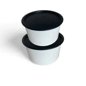 PICK YOUR OWN TUPPERWARE ONE TOUCH DUO 2.1L CONTAINER  (LIVE ONLY)