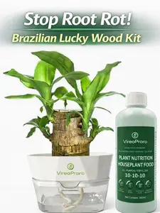 Stop Root Rot! VireoProro Brazilian Lucky Wood Kit with Self-Watering Pot & Plant Nutrition 10-10-10 Fertilizer for Effortless Growth Indoor Hydroponics System Potting Mix
