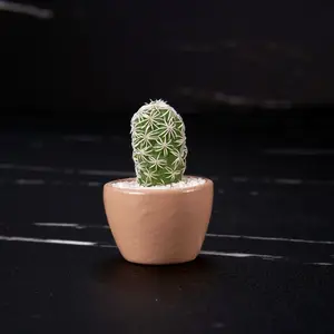 LITTLE PRICKS - Micro Mini Cactus - Light Brown- Hand Painted, DIY kit, Unique gifts, Live plant, Decor, Home Decor