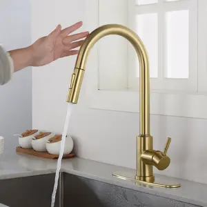 Touch Control User-friendly Pull-Down Sprayer Kitchen Faucet - Sensor