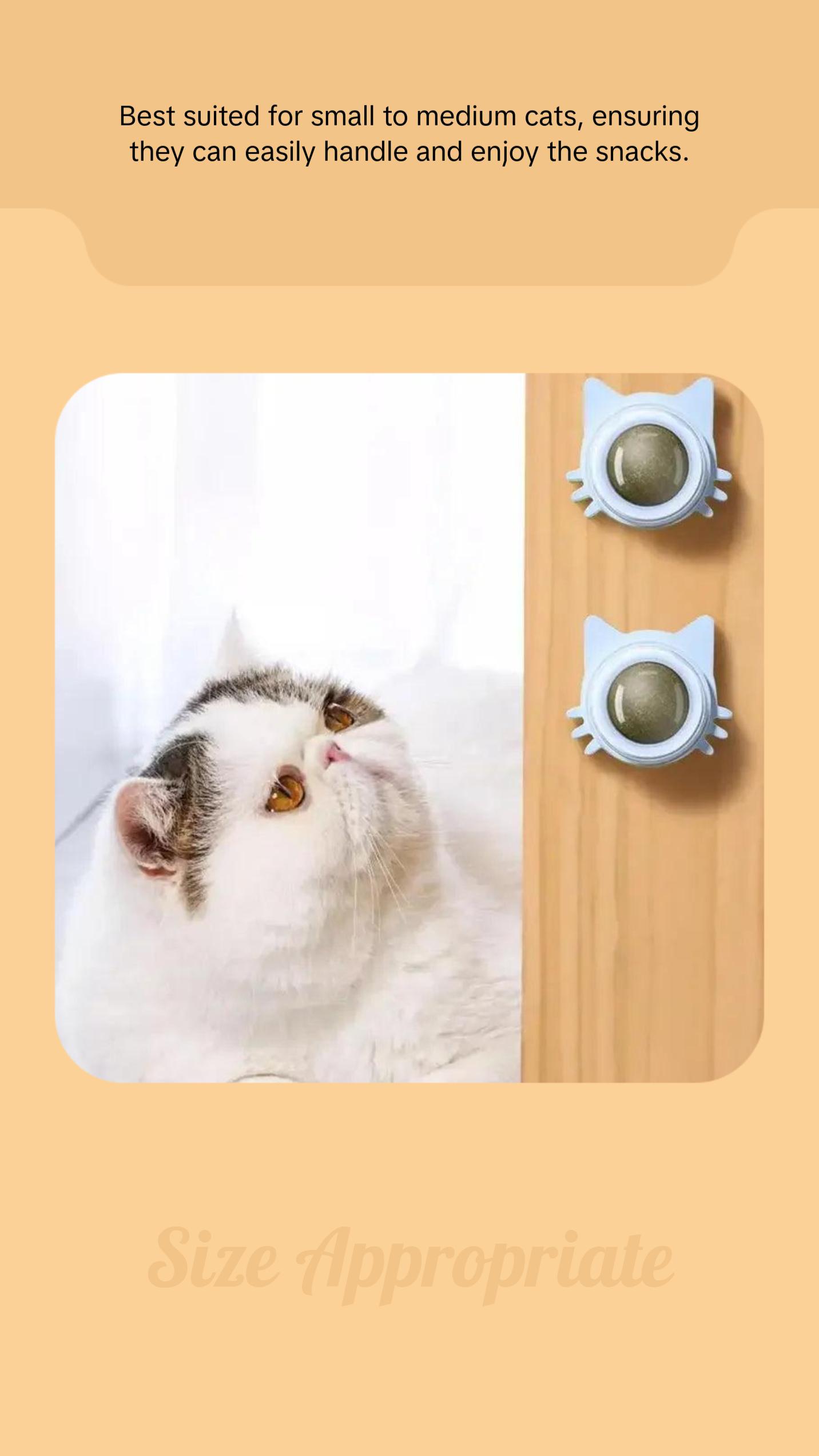 Catnip Balls Funny Lickable Cat Snack