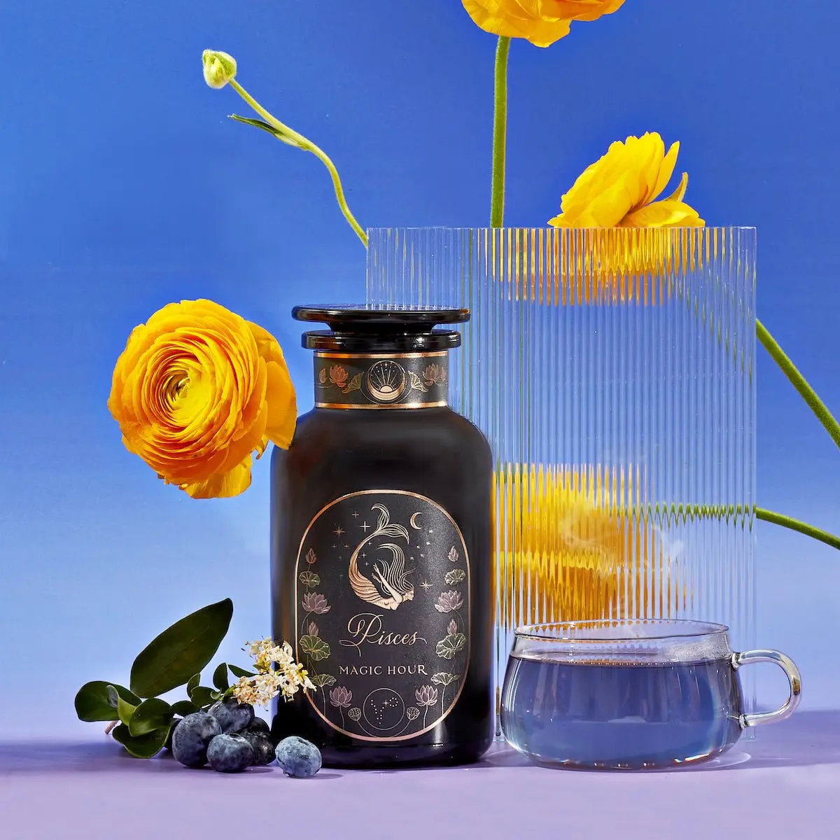 Pisces: Magnolia-Jasmine Blueberries & Cream Tea with Lion's Mane