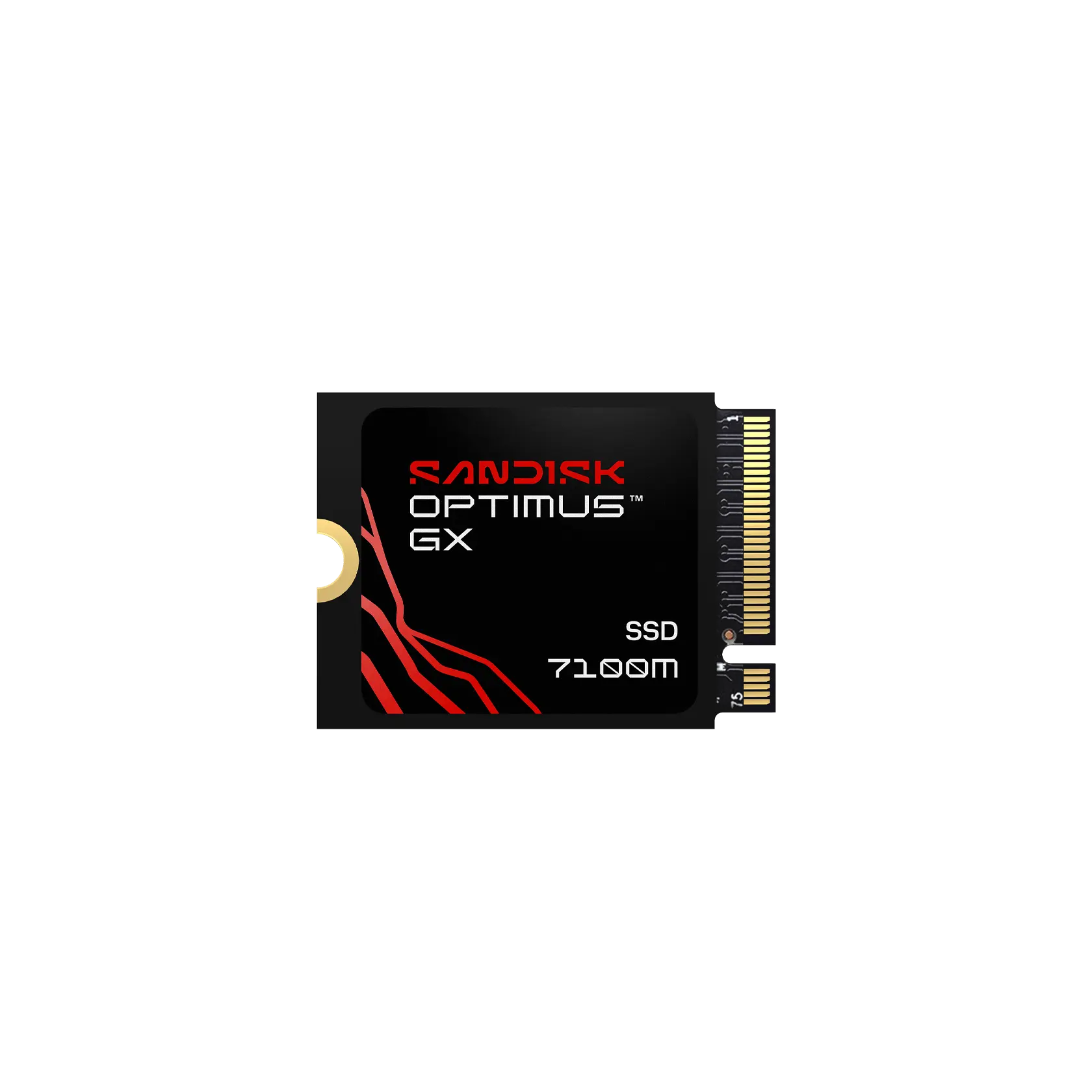 SANDISK Optimus GX 7100M NVMe™ SSD