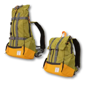 Urban 3 | Dual Use Dog Carrier & Traditional Backpack