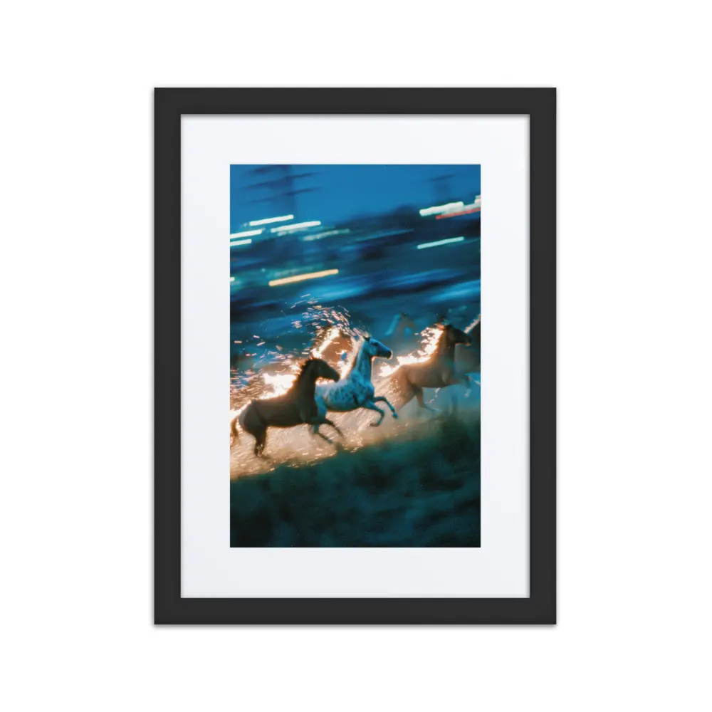 Freedom Framed poster