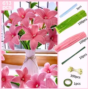 613 Pcs Pipe Cleaner Flower， Pipe Cleaners Craft, Chenille Stems Flowers Craft kit with Flower Stems, Floral Tape, Stamen, Rubber strip