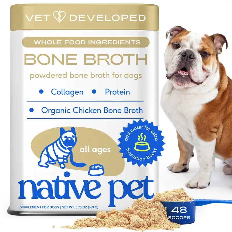 Native Pet Bone Broth for Dogs and Cats - Chicken Bone Broth Powder Dog Food Toppers for Picky Eaters - Provides Extra Nutrition for Joint Strength, Immune Support & Heart Health - 96 Scoops