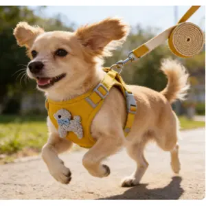 Pet Backpack Teddy Bichon Leash Cat Dog Harness Dog Leash Dog Walking Rope Pet Snack Bag Dog Leash Dog Leash Pet Small and Medium-sized Dog Backpack Cat Harness Dog Leash Dog Walking Rope dog accessories dog chain cat accessories dog products