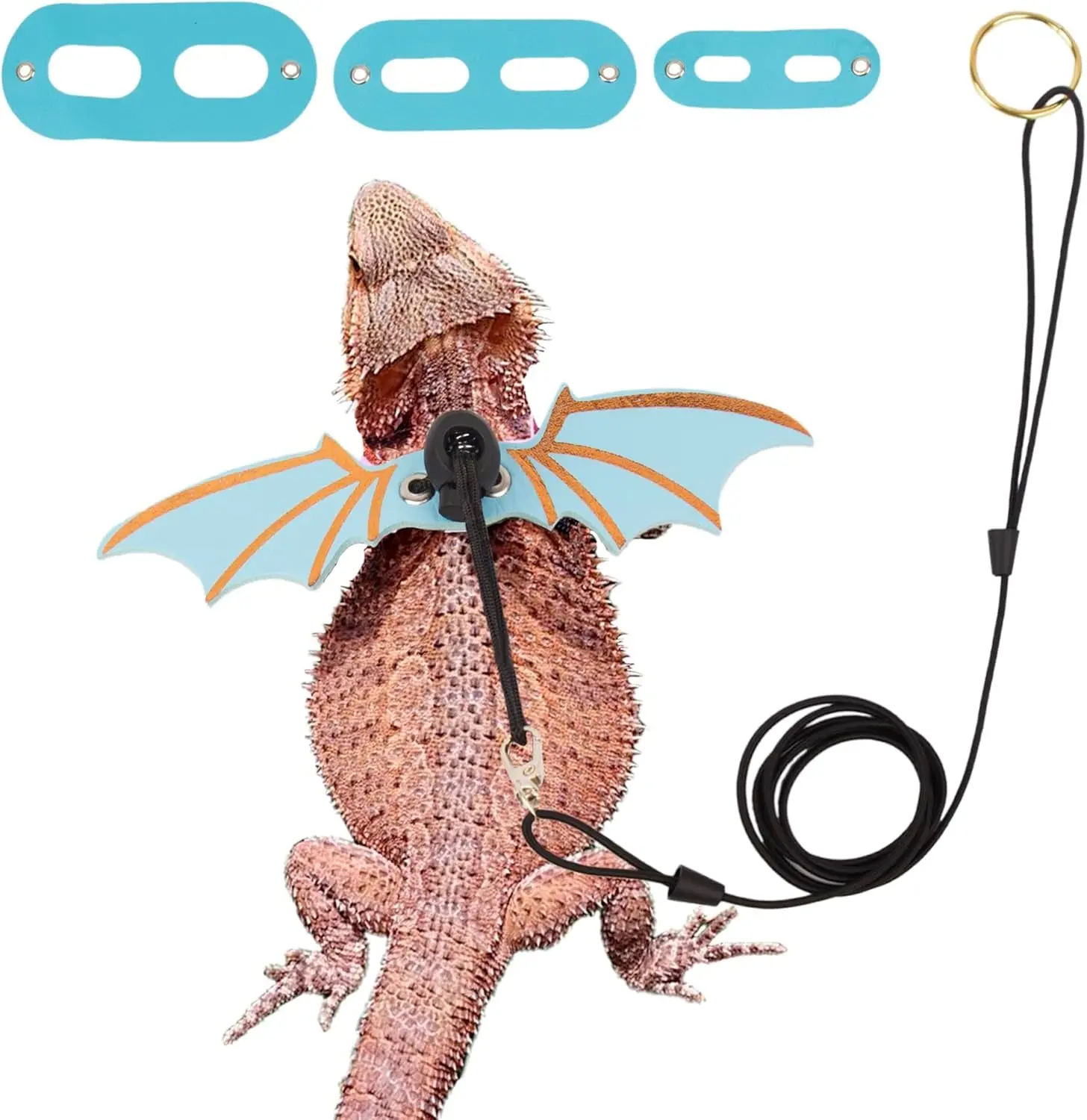 Bearded Dragon Harness & Leash Set with Wings  SML  Fits Lizards Geckos & Small Reptiles  Blue