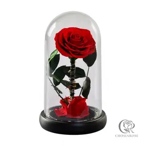 Chosiarose Preserved Purple Rose Bouquet with Vase Lasts 3-5 Years Real Forever Gift for Mom Birthday Thanksgiving Christmas Women Grandma Wife Friends Her 13x8.27x4.92inch