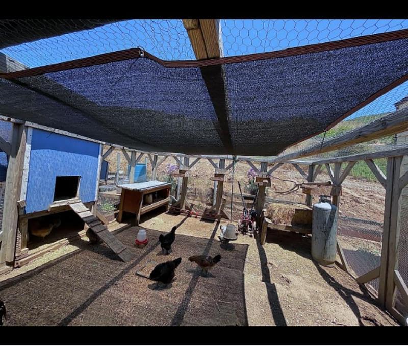 2026 New 90% Blackout Cloth (Black) - 10 x 13ft UV-Resistant Shade Net with Reinforced Rivets, Suitable forOutdoor Adventures / Camping / Garden / Patio /Greenhouse.Mesh Shade Cloth