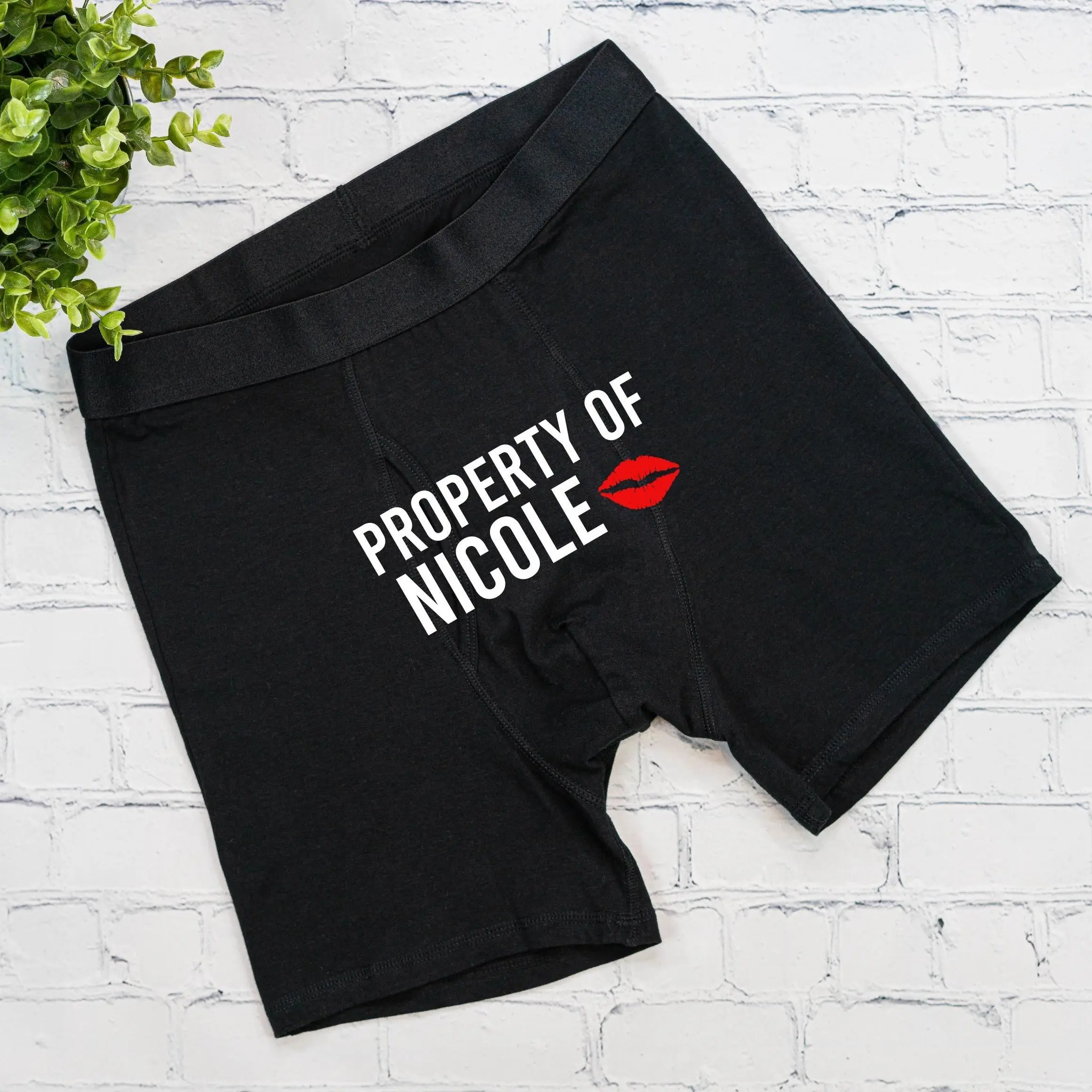 Property Of Nicole Men's Underwear, Valentine's Day Gift For Husband, Wedding Men's Boxer, Custom Men Underwear, Anniversary Men's Underwear, Husband Birthday Gift, Personalized Name Men's Boxer