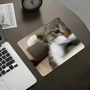 Funny Cat Taking Selfie Square Gaming Mouse Pad, Humorous Pet Meme Design, Non-Slip Smooth Surface Mousepad for PC, Laptop, Office Desk, Gaming Setup, Small Size, Ideal Gift for Cat & Animation Fans, Made for gaming