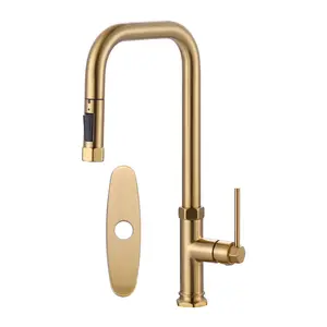 WOWOW Henassor Single-Handle Pull Down Sprayer Kitchen Faucet with Advanced Spray and Deck Plate in Gold sink faucet